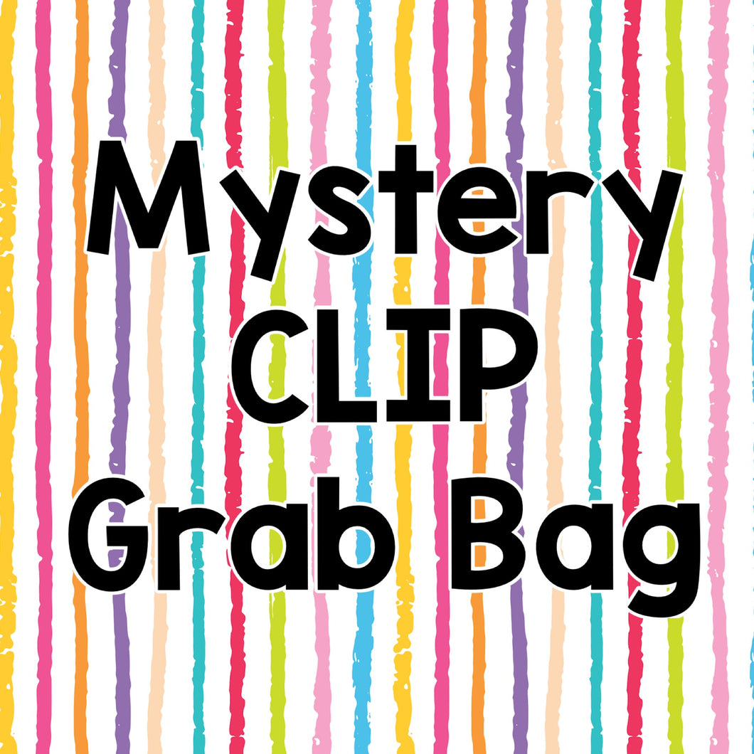 Mystery CLIP Bow Bags